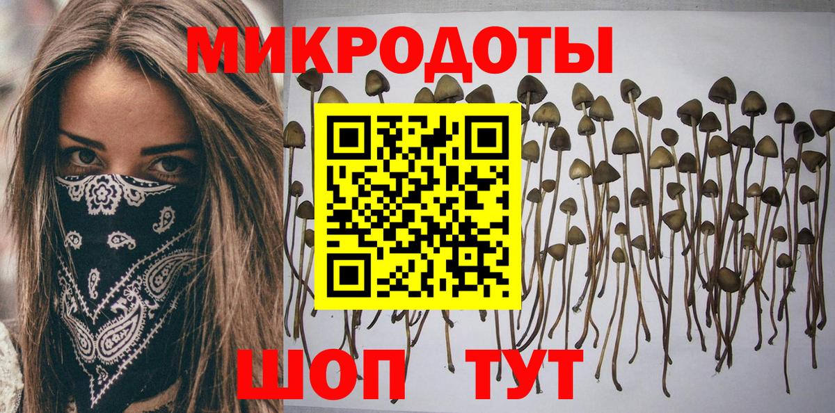 Галлюциногенные грибы Magic Shrooms Дзержинск